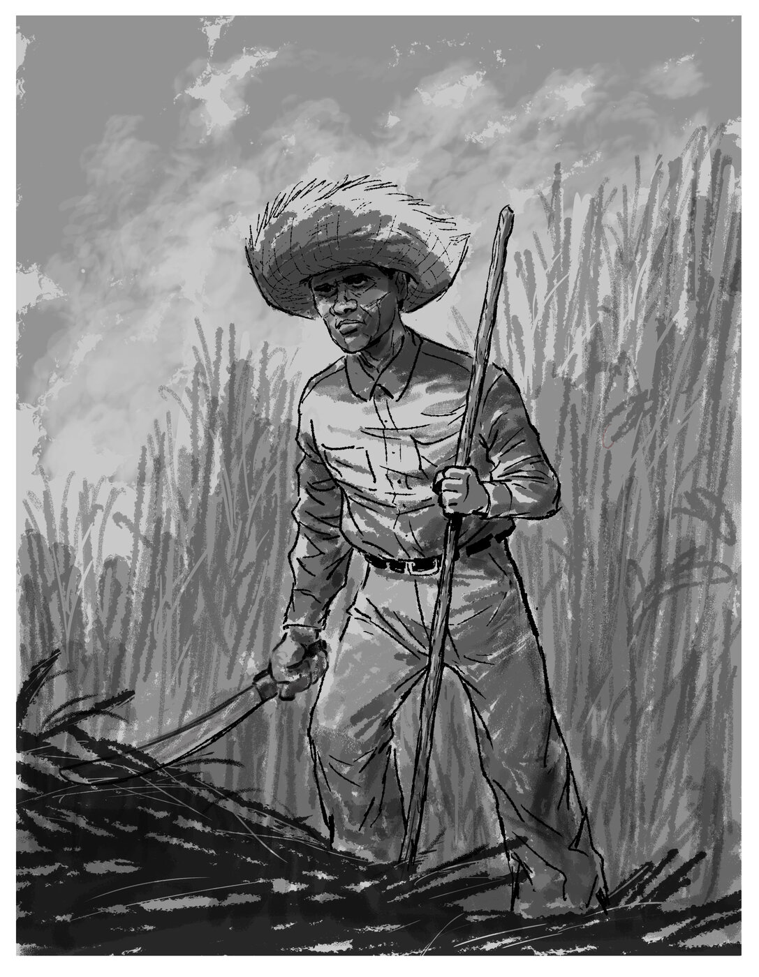 Jibaro